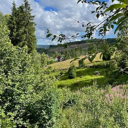 Hébergement de vacances With Views And Private Sauna *