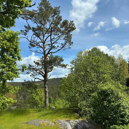 With Views And Private Sauna Hébergement de vacances Versland